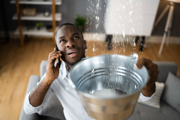 Best Basement water damage restoration  in West Sayville, NY