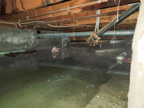Best Flooded house restoration  in West Sayville, NY