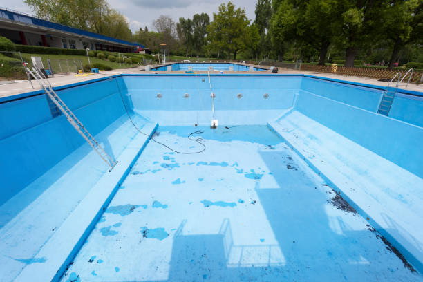 Best Mold removal after water damage  in West Sayville, NY