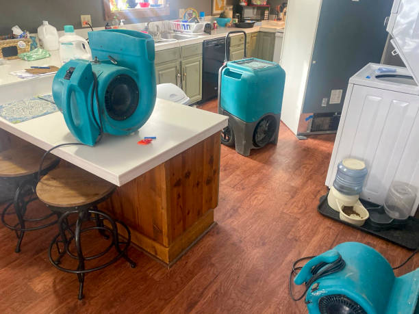 Best Ceiling water damage repair  in West Sayville, NY