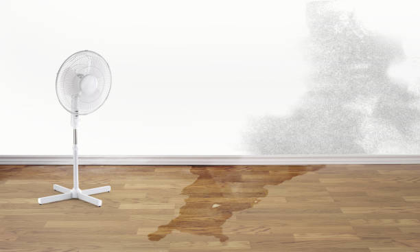 Carpet water damage restoration in NY