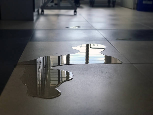 Best Water damage contractors near me  in West Sayville, NY