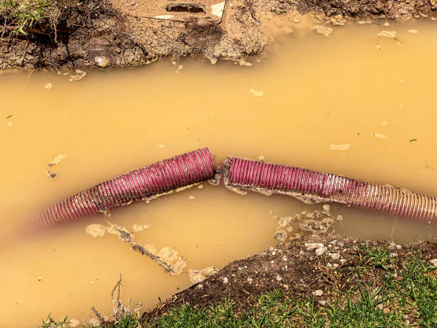 Best Sewage cleanup and water damage restoration  in West Sayville, NY